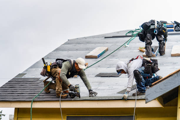 Professional Flat Roof Repair technician working in Mountain, WI